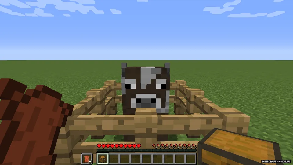 Extended Inventory — Minecraft mod, rasm 2