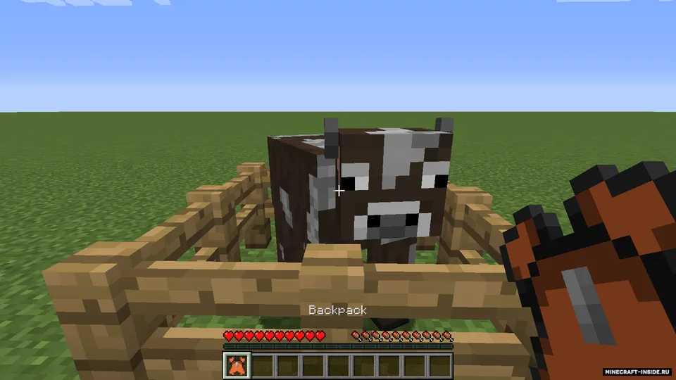 Extended Inventory — Minecraft mod, rasm 3