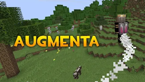 Augmenta