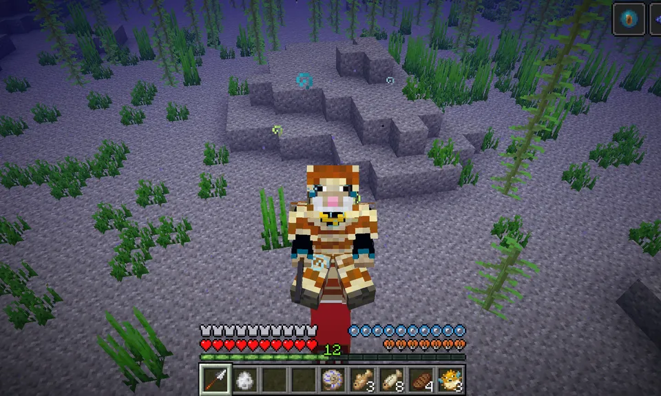 Wollcrafter's Nautilus — Minecraft mod, rasm 4