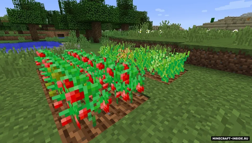 Yummy — Minecraft mod, rasm 3