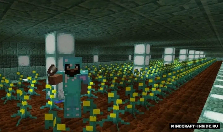 Experience Seedling — Minecraft mod, rasm 2
