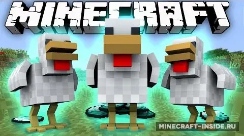 Chickens