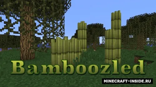 Bamboozled — Minecraft mod, rasm 1