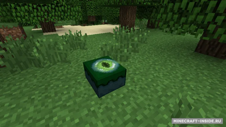 Dimensional Cake — Minecraft mod, rasm 2