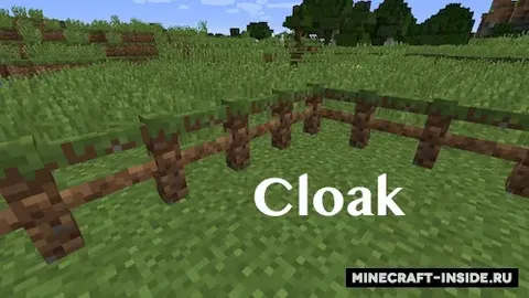 Cloak