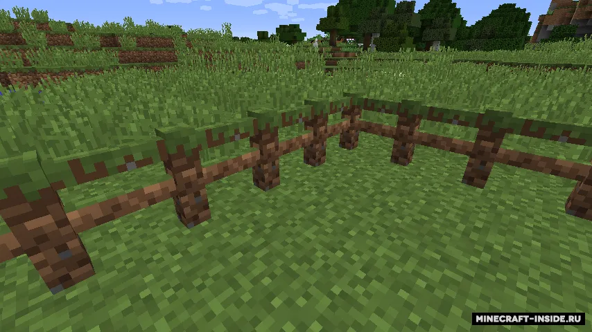 Cloak — Minecraft mod, rasm 3