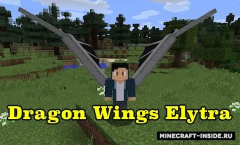 DragonWingsElytra