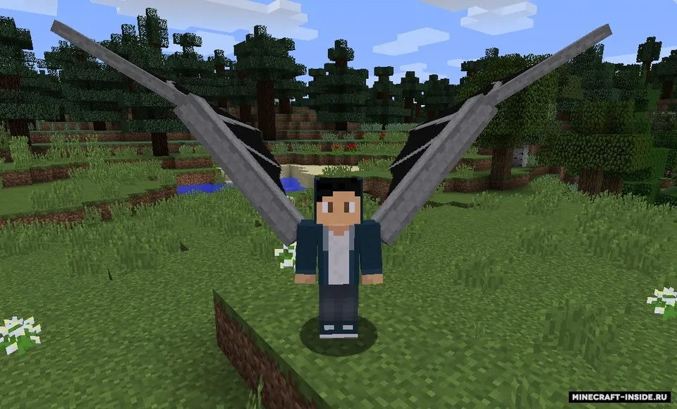 DragonWingsElytra — Minecraft mod, rasm 2