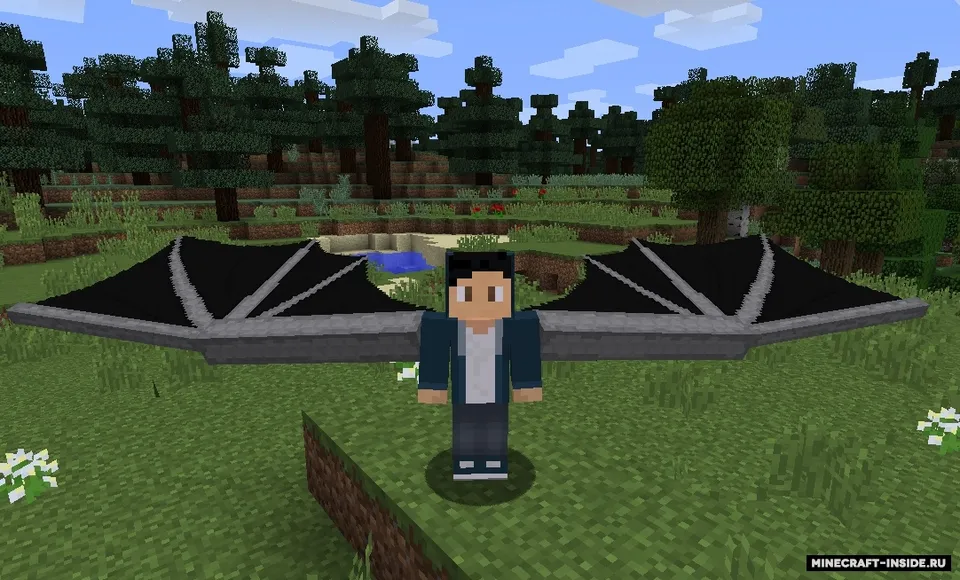 DragonWingsElytra — Minecraft mod, rasm 3
