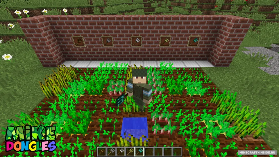 Mike Dongles — Minecraft mod, rasm 3