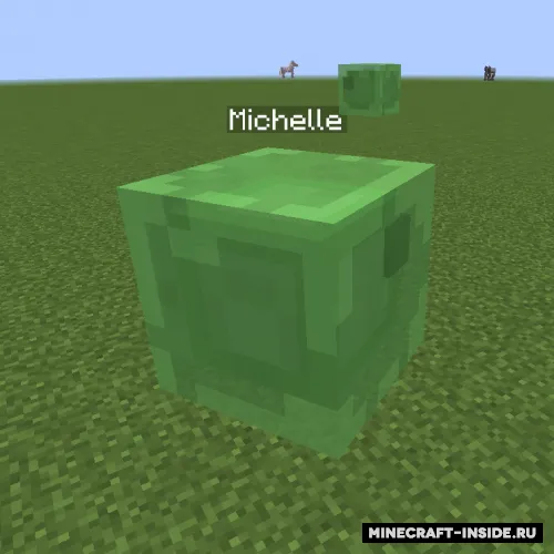 Mob Names — Minecraft mod, rasm 1
