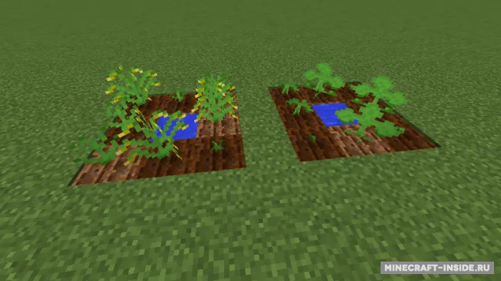 Sushi — Minecraft mod, rasm 2