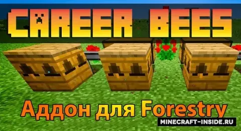 Career Bees