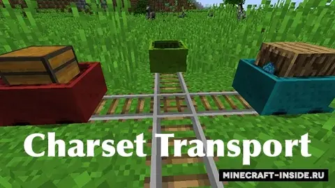 Charset Transport