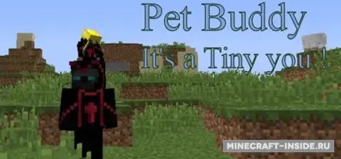 Pet Buddy