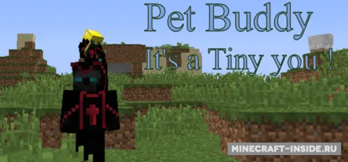 Pet Buddy — Minecraft mod, rasm 1