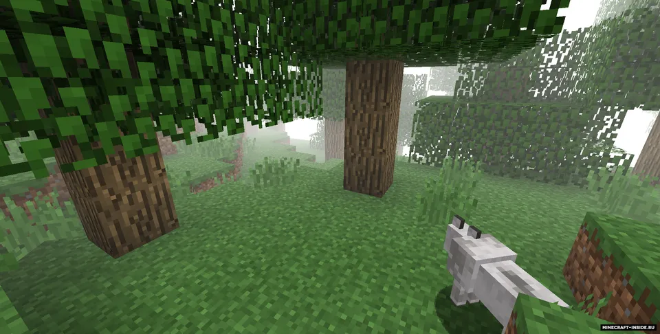 Mist Biomes — Minecraft mod, rasm 8