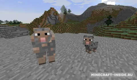 Ore Sheep