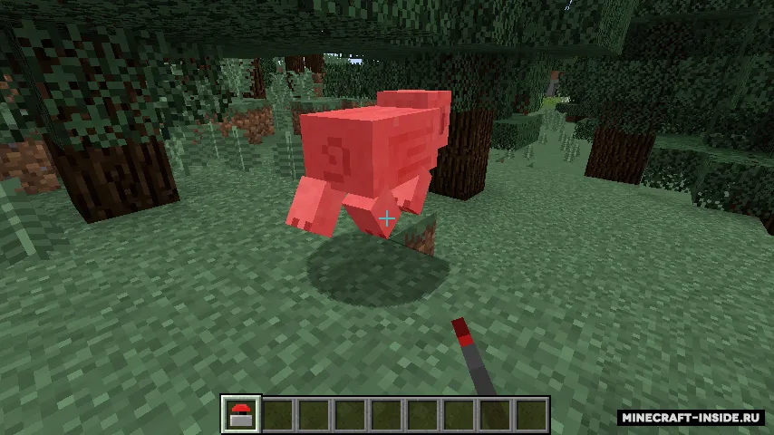 BioBomb — Minecraft mod, rasm 2
