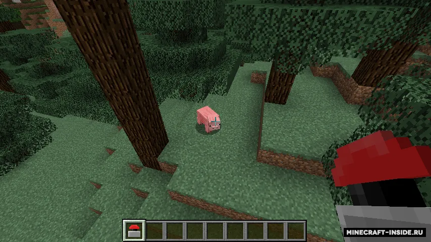 BioBomb — Minecraft mod, rasm 3
