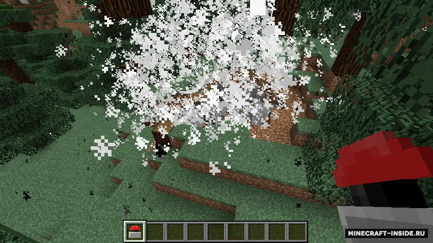 BioBomb — Minecraft mod, rasm 4