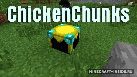 ChickenChunks