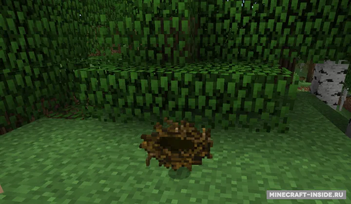 Birds Nests — Minecraft mod, rasm 3