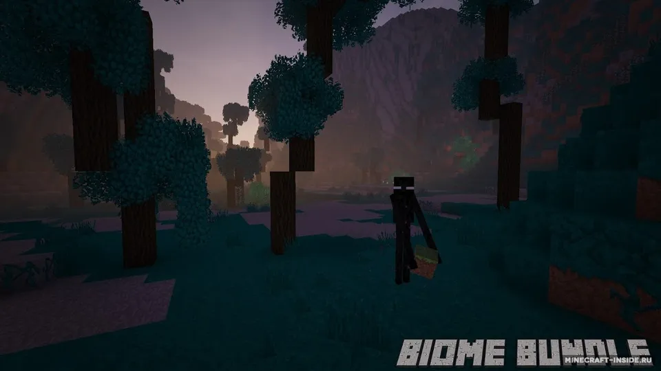 Biome Bundle — Minecraft mod, rasm 4