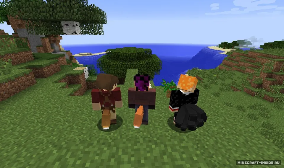 Tails — Minecraft mod, rasm 2