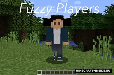 Fuzzy Players