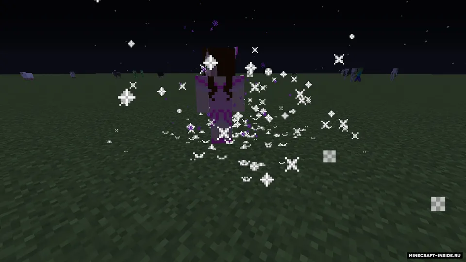 Hostile Purses — Minecraft mod, rasm 4