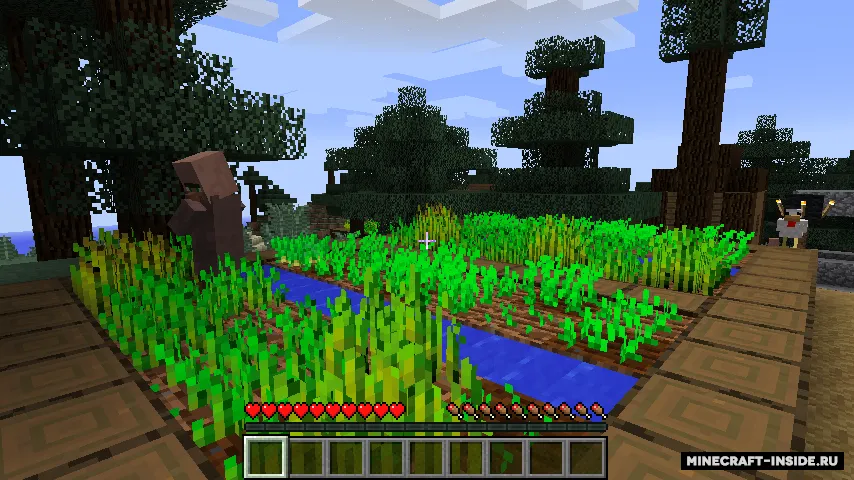 First-Person Hand Removal — Minecraft mod, rasm 2