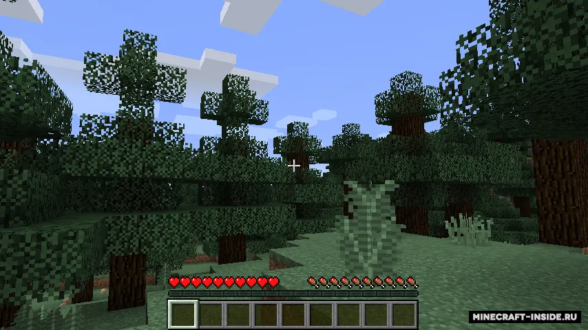 First-Person Hand Removal — Minecraft mod, rasm 3