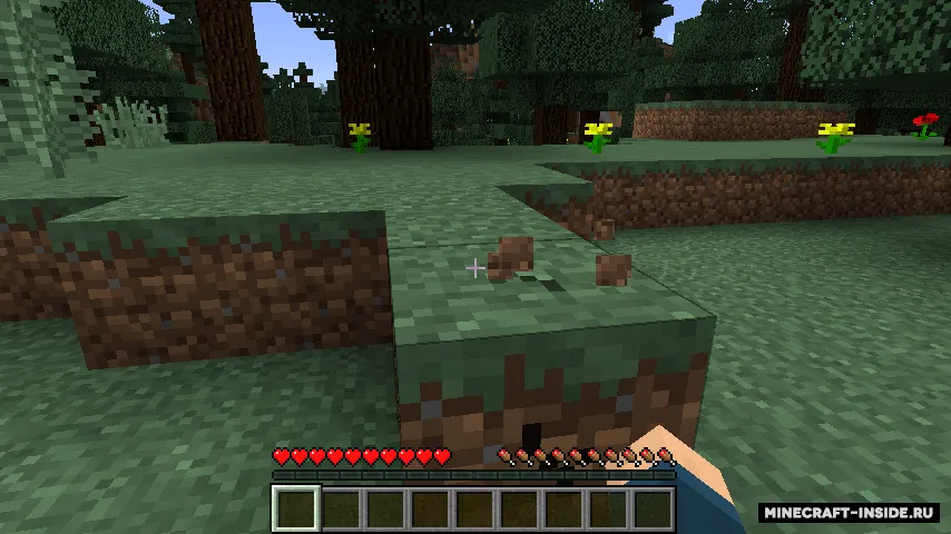 First-Person Hand Removal — Minecraft mod, rasm 4