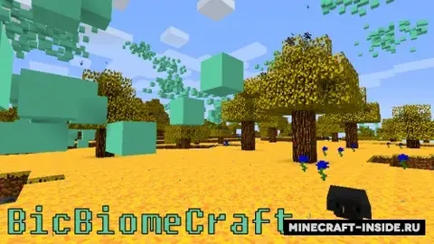 BicBiomeCraft