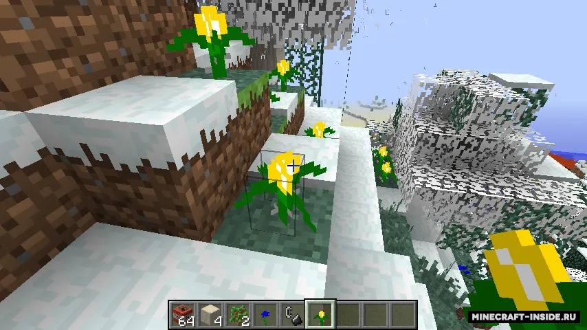BicBiomeCraft — Minecraft mod, rasm 8