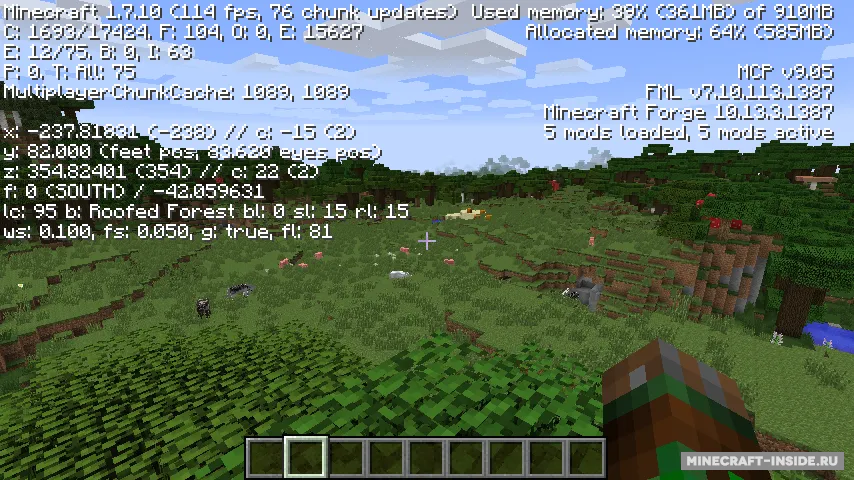 BetterFps — Minecraft mod, rasm 2