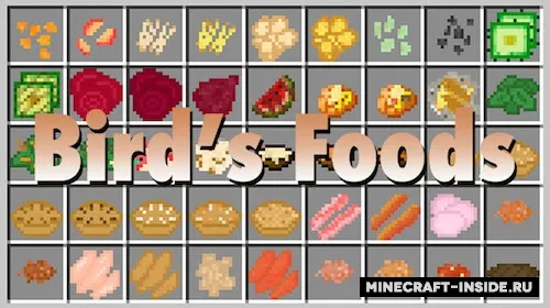 Bird’s Foods — Minecraft mod, rasm 1