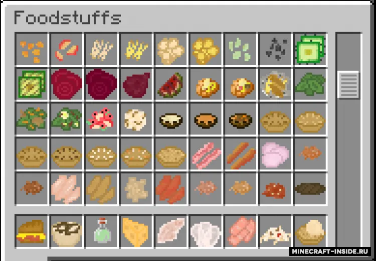 Bird’s Foods — Minecraft mod, rasm 2