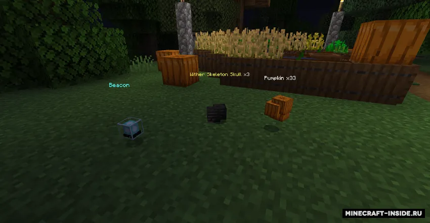 Item Holograms — Minecraft mod, rasm 2