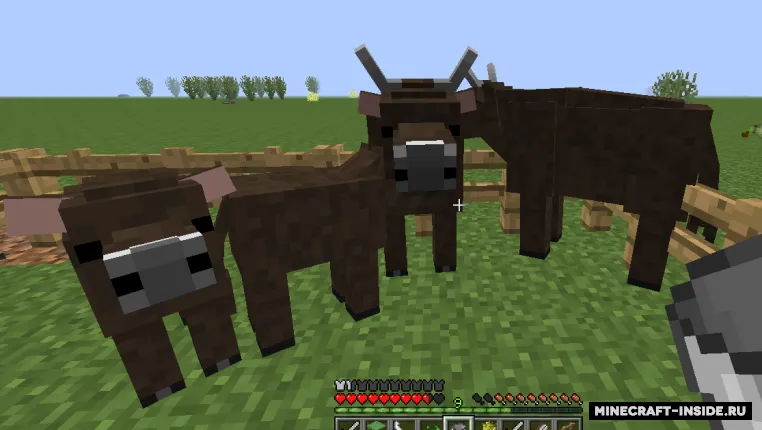 Realistic Livestock — Minecraft mod, rasm 2
