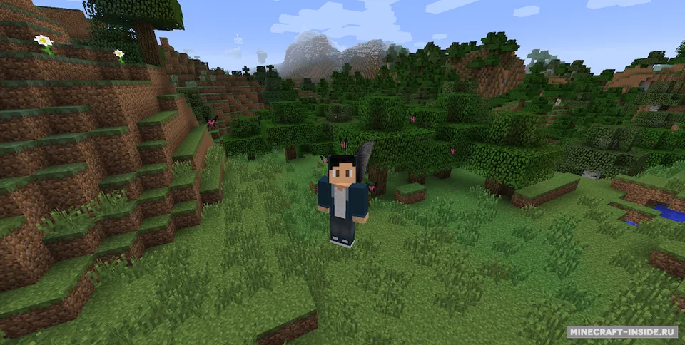 Cosmetic Wings — Minecraft mod, rasm 2