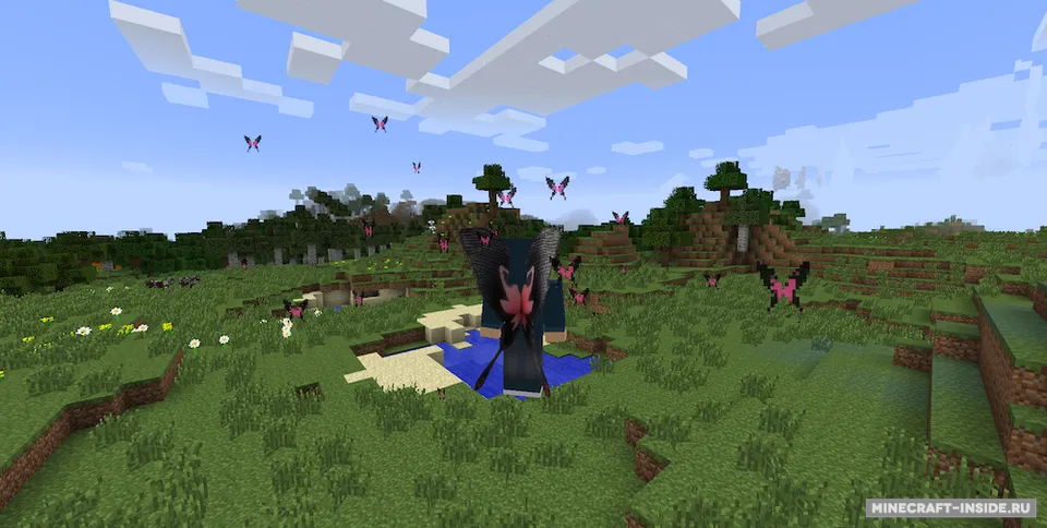 Cosmetic Wings — Minecraft mod, rasm 3