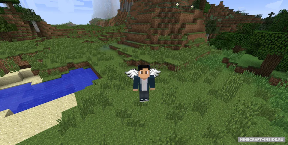 Cosmetic Wings — Minecraft mod, rasm 4