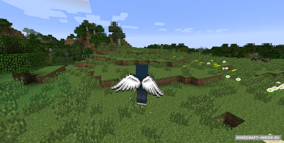 Cosmetic Wings — Minecraft mod, rasm 5