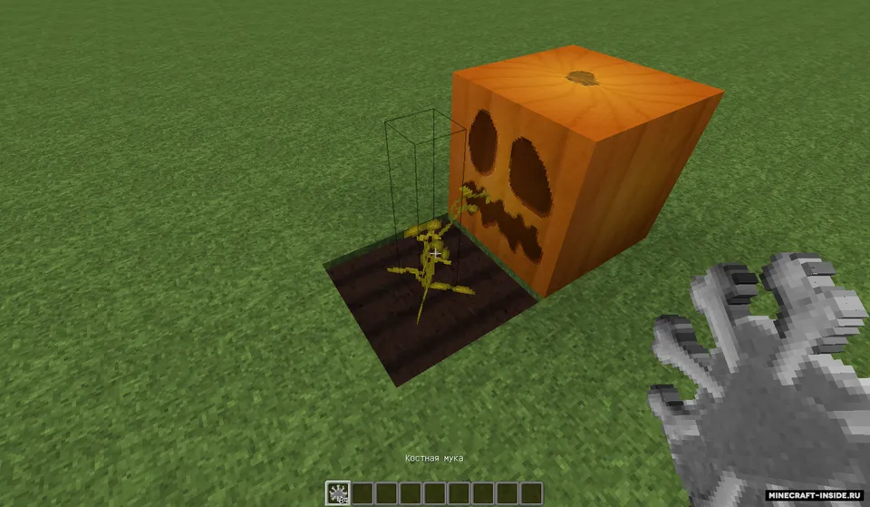 ExpandedBonemeal — Minecraft mod, rasm 4