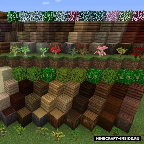 The Natural Woods