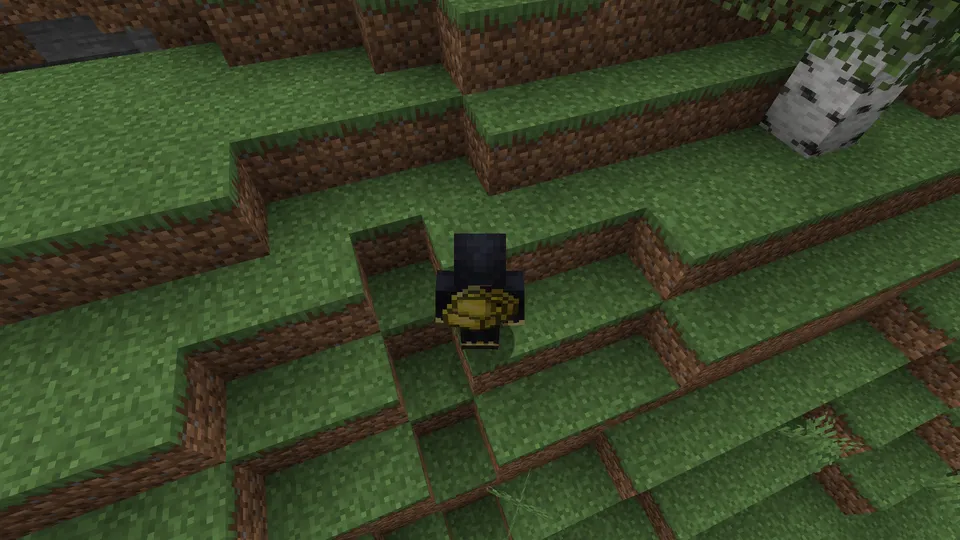 BackSlot by Flike — Minecraft mod, rasm 4