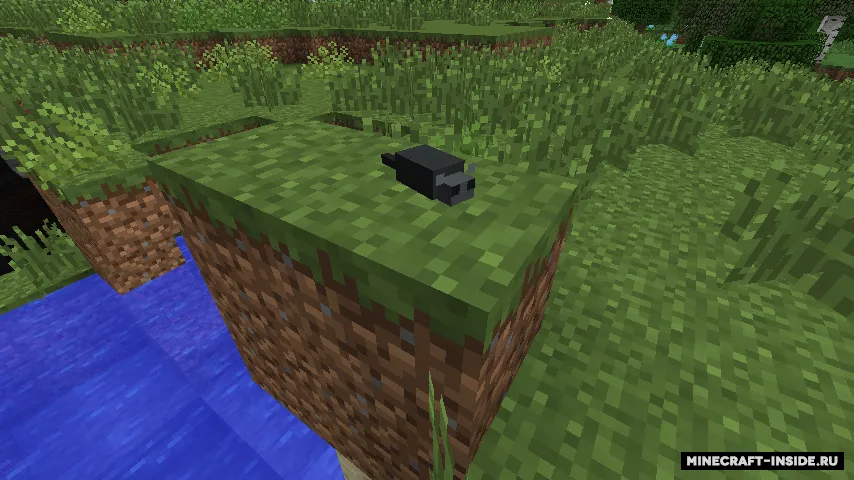 Dark Menagerie — Minecraft mod, rasm 6
